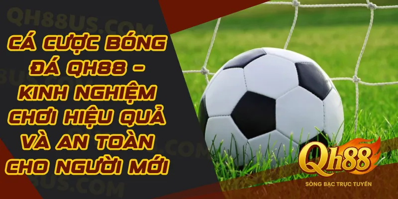 Cá Cược Bóng Đá QH88